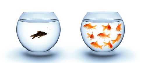 Gli Hikikomori e la difficoltà ad entrare in relazione con gli altri